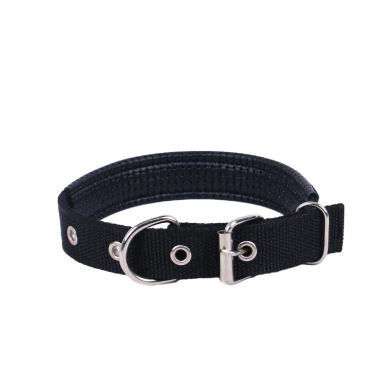 Dog collar bk