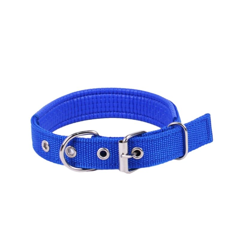 Dog collar blue