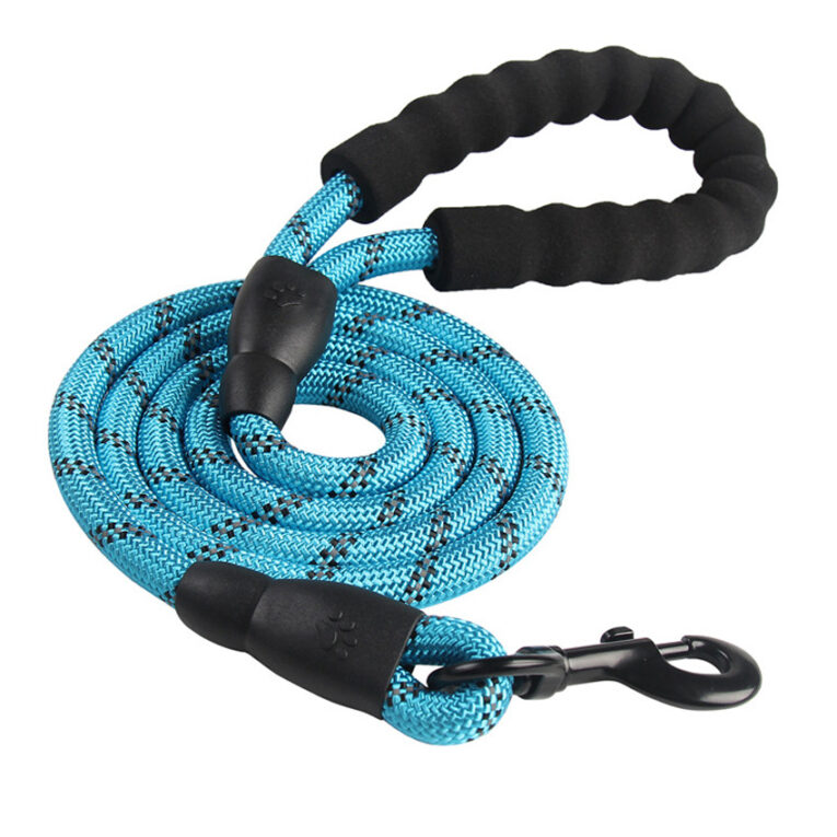 Dog lead blue