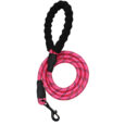 Dog Lead Red