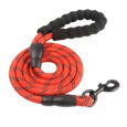 Dog Lead Red