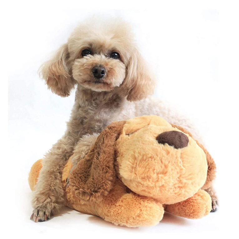 Heart beating dog toy (3)