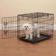 24-inch dog crate for small dogs and cats