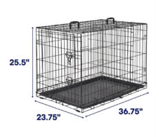 Dog Crates safe and secured