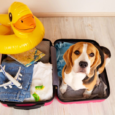 travel puppy checklist