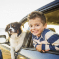 Dog Travel Accessories