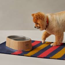 dog bowl
